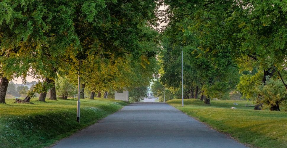 Central Park path